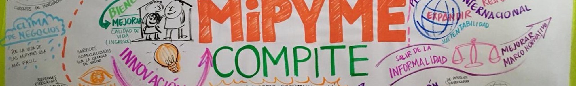 MiPYME COMPITE in Paraguay